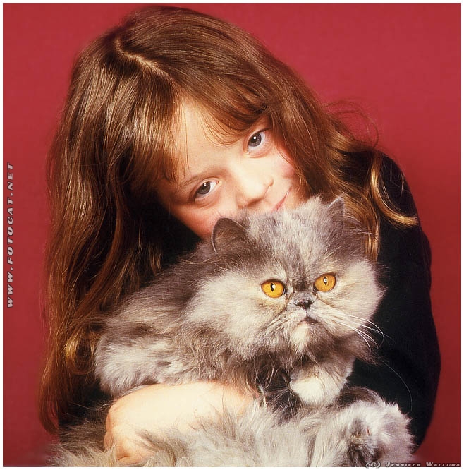 Kind mit Katze auf dem Arm